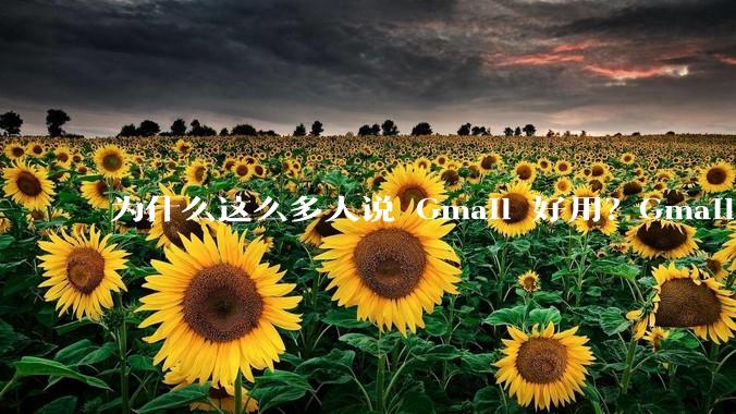 为什么这么多人说 Gmail 好用？Gmail 和 QQ 邮箱相比到底好在哪里？