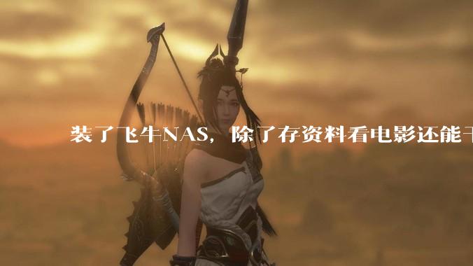 装了飞牛NAS，除了存资料看电影还能干什么？