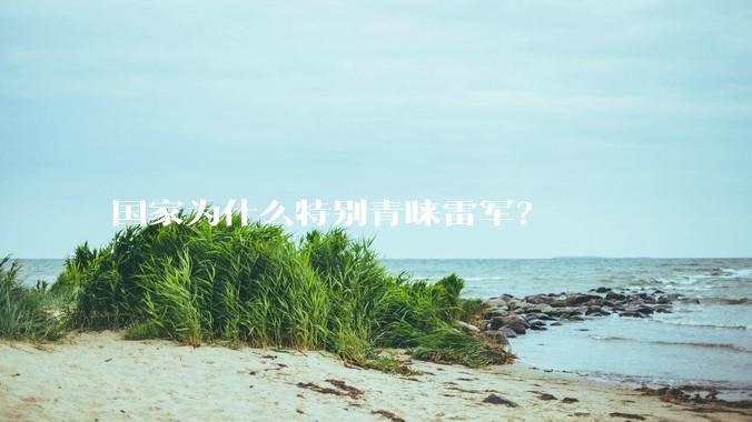 国家为什么特别青睐雷军？